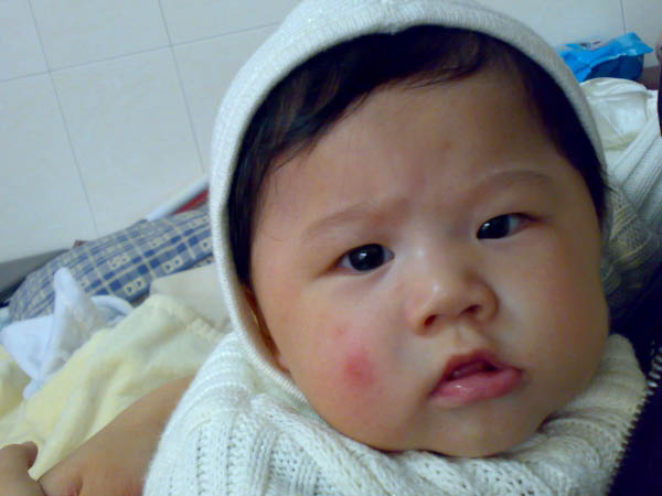 20080217137