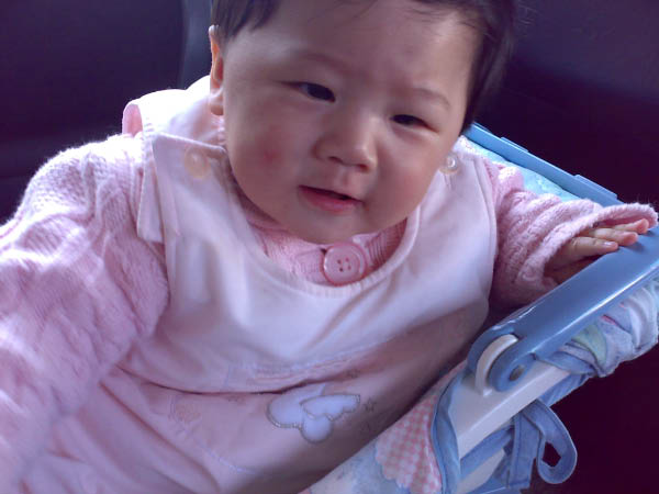 20080220199