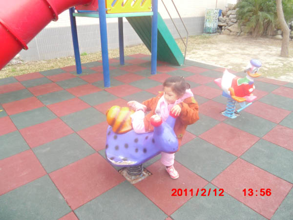 CIMG1142