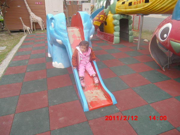 CIMG1153