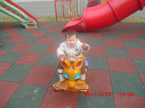 CIMG1164
