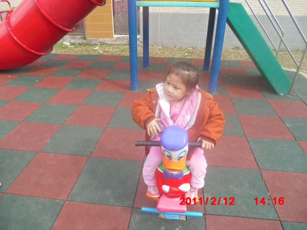 CIMG1181
