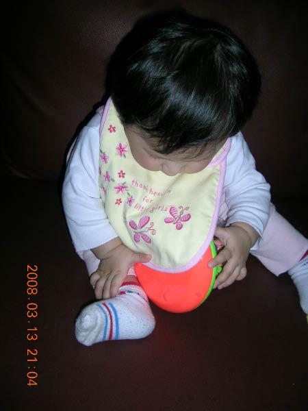 DSCN0335