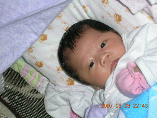 DSCN1729