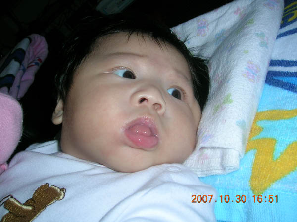 DSCN4761