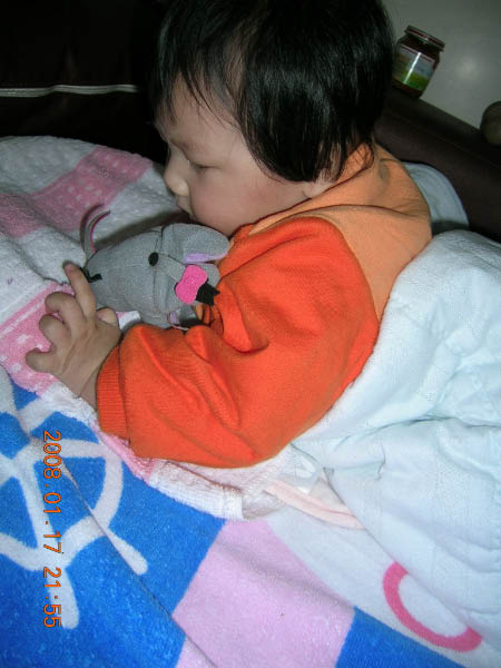 DSCN8665