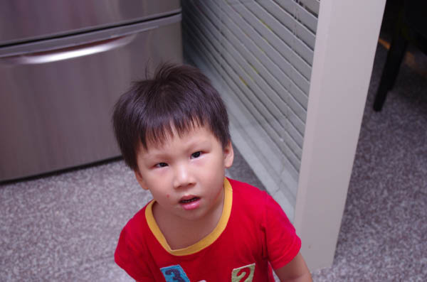 IMGP7855