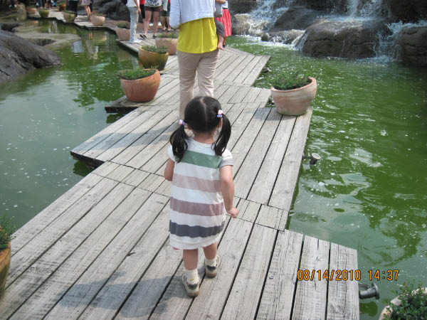 IMG_0871-3