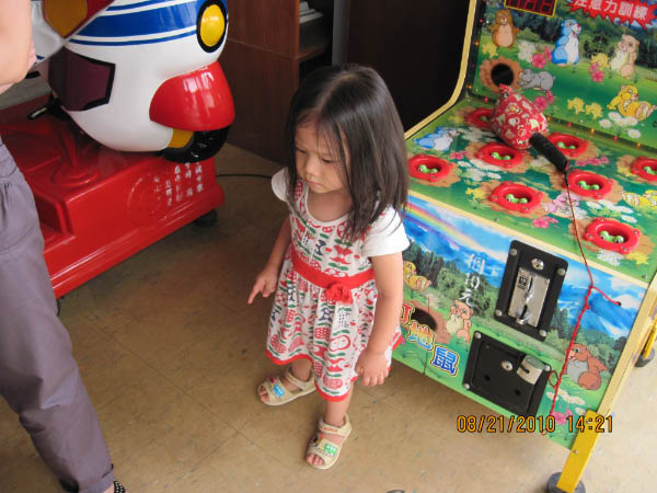 IMG_1050-3