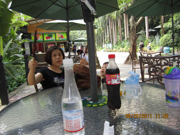 IMG_1819-4