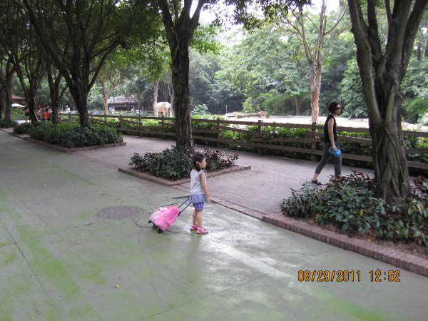 IMG_1880-3
