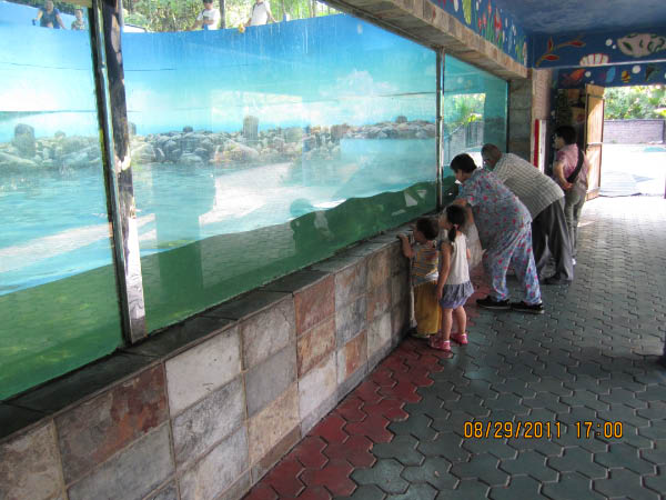 IMG_1960-4