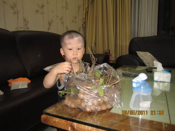 IMG_2000-2