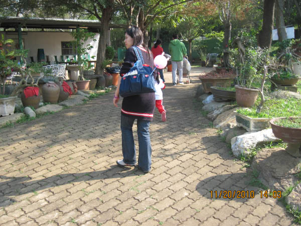 IMG_2709-2