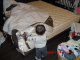 CIMG0037