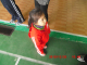 CIMG0315