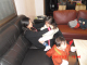 CIMG0537
