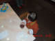 CIMG0558