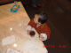 CIMG0562
