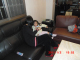 CIMG0563