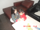 CIMG1248