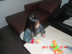 CIMG1249
