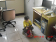 CIMG1407