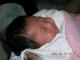 DSCN1348