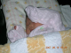 DSCN1527