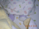 DSCN2091