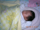 DSCN2095