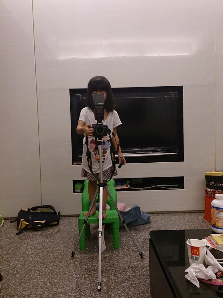 專業的豬豬 專業的豬豬