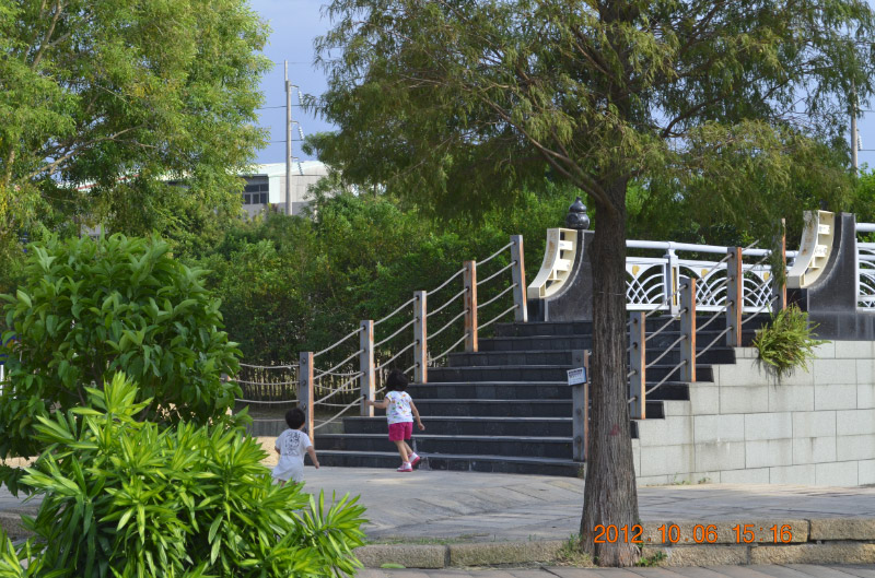 DSC_0242-1