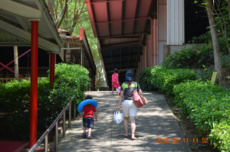 DSC_2261-1