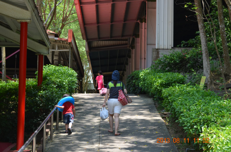 DSC_2262-1
