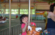 DSC_2229-1